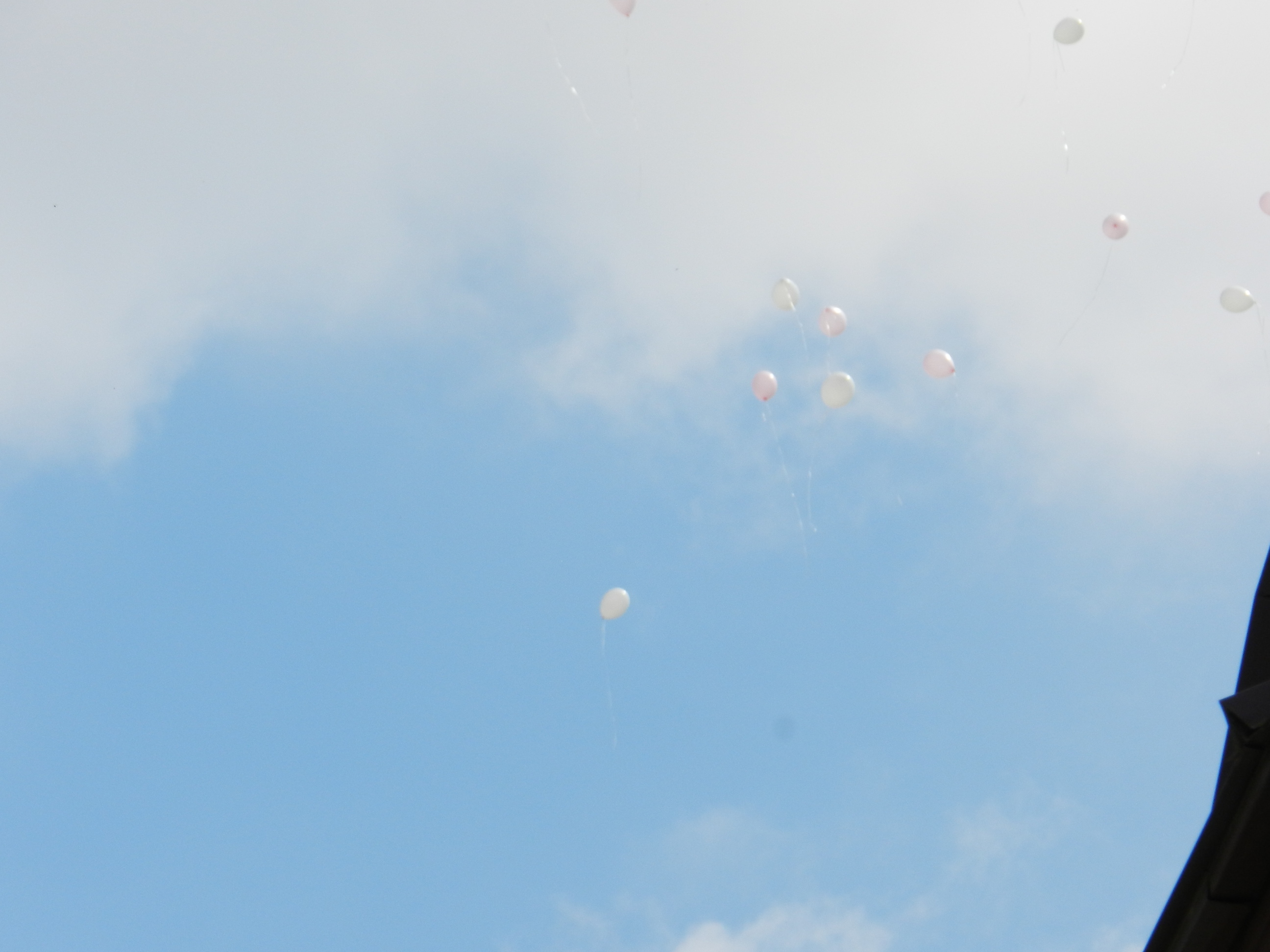 Lansare baloane